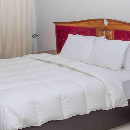 The Graceland Guesthouse Bluff Hill 외부 사진
